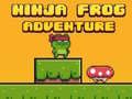 Leikur Ninja Froskur Bera á netinu