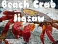 Leikur Strandkrabbi Púsla á netinu