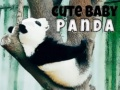 Leikur Sætir panda ungi á netinu