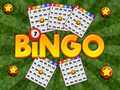 Leikur Bingo Afhjúpa á netinu