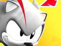 Leikur Sonic Subway Super Rush á netinu
