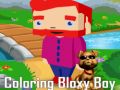 Leikur Lita Bloxy Strák á netinu