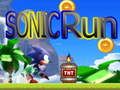 Leikur Sonic Hlaup á netinu