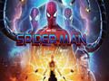 Leikur Spiderman: Falinn hlutir á netinu