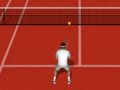 Leikur Raunverulegur Tennis á netinu