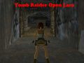 Leikur Tomb Raider: Opin Lara á netinu