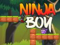 Leikur Ninja Strákur á netinu