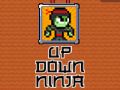 Leikur Ninja Upp Niður á netinu