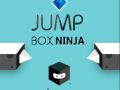 Leikur Ninja Hoppu Kassi á netinu