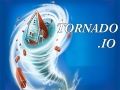 Leikur Eg Tornado.io á netinu
