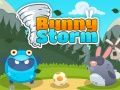 Leikur Króka Storm á netinu