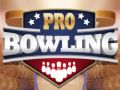 Leikur Fagmenns Bowling á netinu