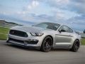 Leikur Mustang Shelby Pusla á netinu