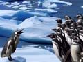 Leikur Rennandi Pinguína á netinu