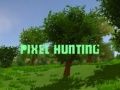 Leikur Píxelsýning á netinu Leikur Píxelsýning á netinu