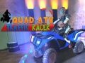 Leikur Quad ATV Umferðar Hraðleiks á netinu