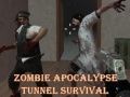 Leikur Zombí heimsendi tunneling á netinu
