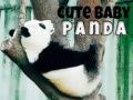Leikur Sætir panda ungi á netinu
