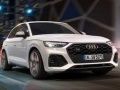 Leikur Audi SQ5 TDI Rúll á netinu