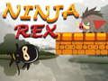 Leikur Ninja Rex á netinu