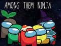 Leikur Með þeim Ninja á netinu