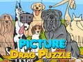 Leikur Mynd Draga Puzzles á netinu