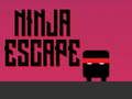 Leikur Ninja flótti á netinu