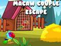 Leikur Macaw Par Flótta á netinu