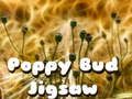 Leikur Poppy Bud ráðgáta á netinu
