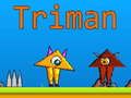 Leikur Triman á netinu