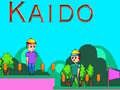 Leikur Kaido á netinu