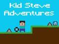 Leikur Ävintýri Kid Steves á netinu