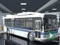 Leikur Borgabussabrögð verkefnissýningaraðgerð 3D á netinu
