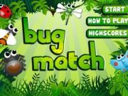 Leikur Bug Match á netinu