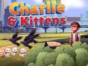 Leikur Charlie og kettir á netinu
