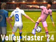 Leikur Volley Meister '24 á netinu