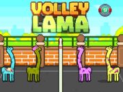 Leikur Volley Lama á netinu