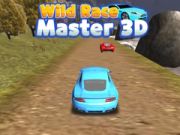 Leikur Vill Race Meistari 3D á netinu
