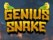 Leikur Geniuskönguló á netinu
