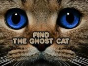 Leikur Finndu Ghost Cat á netinu