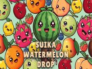 Leikur Suika Watermelon Drop á netinu