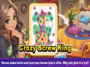 Leikur Crazy Screw King á netinu
