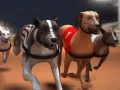 Leikur Greyhound kapp á netinu