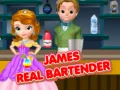 Leikur James Raunveruleg Barþjónn á netinu
