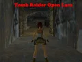 Leikur Tomb Raider: Opin Lara á netinu