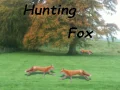 Leikur Foxveiði á netinu