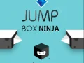 Leikur Ninja Hoppu Kassi á netinu