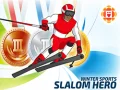 Leikur Vetraríþróttir: Slalom hetja á netinu