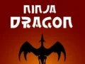 Leikur Ninja Drekki á netinu