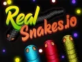 Leikur Raunverulegir Snákar.io á netinu